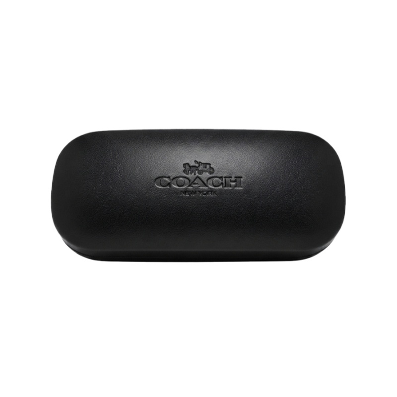 COACH Black Hard Glasses Case  - огляд і ціна Luxury Bags Coach